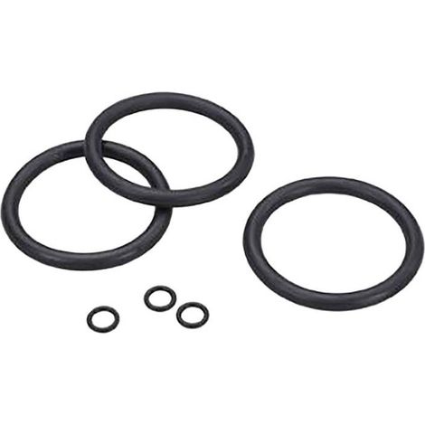 Grünbeck Dichtungssatz für FS 1" FSD 1" Feinfilter 3er Set
