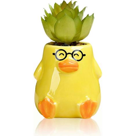 Pot de fleurs canard jaune en céramique idée cadeau pour plantes grasses d'intérieur bureau ou jardin (1/5)