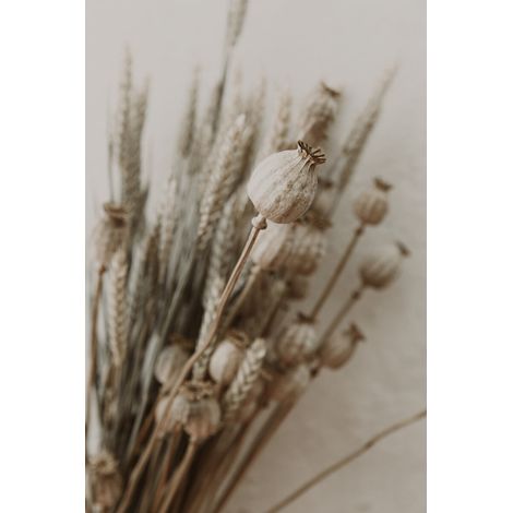 Tableau sur toile bouquet de fleurs séchées 30x45 cm - Impression sur Toile Murale Décorative - Image imprimée en HD sur Toile - Toile sur Châssis en Bois FSC - Fabriqué en France