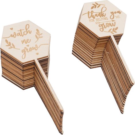 Lot 36 étiquettes succulentes bois hexagonal – watch me grow – baby shower – pot fleur décoration plante (1/5)