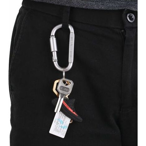 Karabinerhaken mit D-Ring-Verriegelung aus Aluminiumlegierung, 9er-Pack, Silber (1/5)