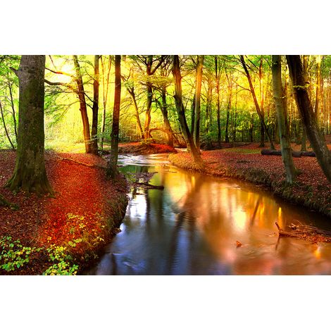 Papier peint panoramique foret lumineux pour escaliers | Tapisserie panoramique rouge, vert & jaune arbre | Papier peint panoramique nature design zen - 267 x 400 cm (4 pièces) (1/2)