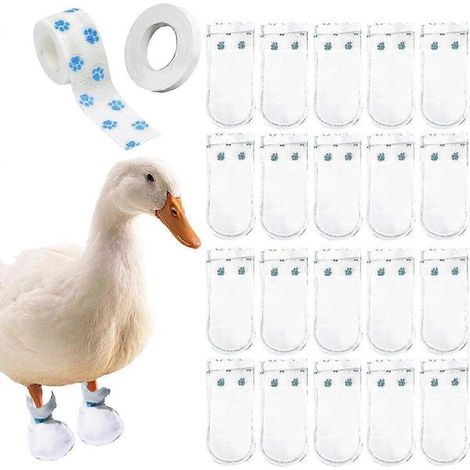 Lot de 20 bottes jetables pour vraies pattes de canard, avec bandage bleu, grande taille. (1/5)