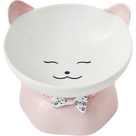 Gamelle surélevée en céramique pour chat, inclinée, protège la colonne vertébrale, réduit le stress et prévient les vomissements - Modèle 6 (1/5)