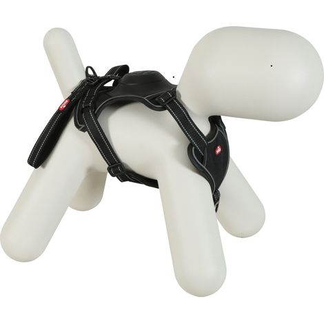Harnais Easyride - L (1/5)