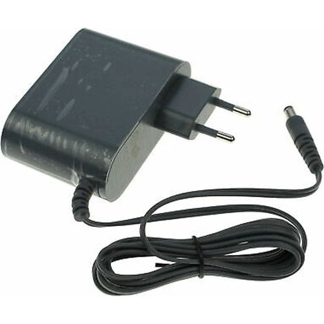 Caricabatterie elettrico - Aspirapolvere - ROWENTA - 4347762
