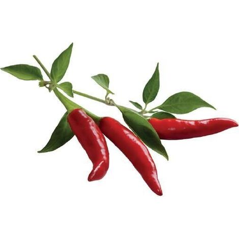 EMSA CLICK & GROW PIMENT (M5260700) CLICK AND GROW (1/2)