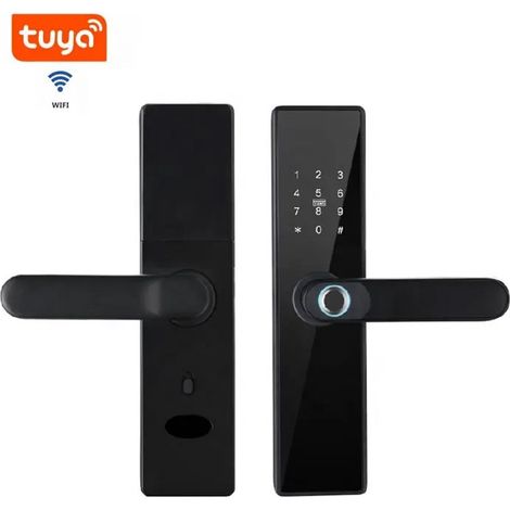 Tuya Serratura Intelligente Wifi con Fingerprint (1/5)