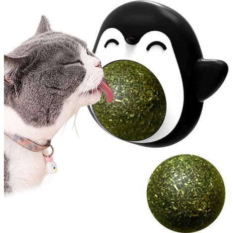 Katzenminze-Ball, 360° drehbares Katzenspielzeug mit Deckel