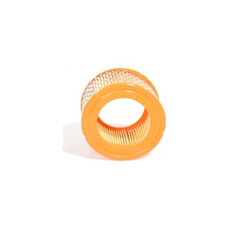 Filtro dell'aria sostitutivo