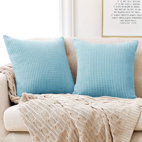 Lot de 2 Housse de Coussin Bleu Ciel 50x50cm en Velours Super Doux pour Canapé Housse de Coussin (1/3)