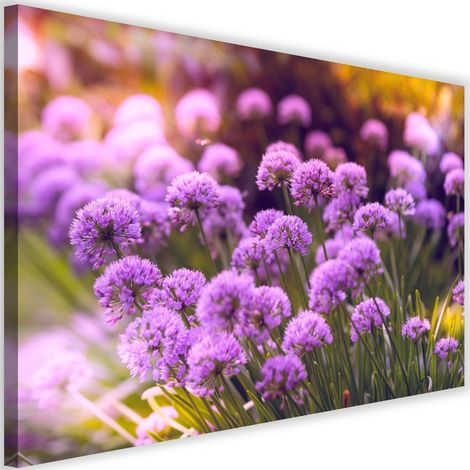 Image sur toile, Jardin Pourpre - 60x40 (1/5)