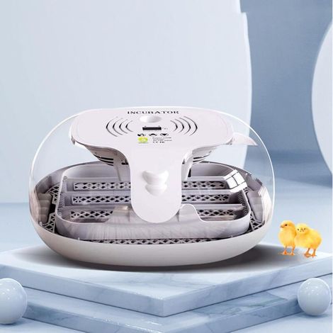 Small Home Digital Incubator with LED Humidity Display (1/4)
