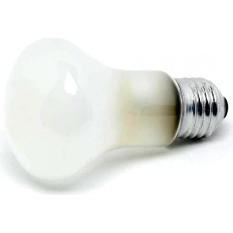 Elinchrom EL23002 - Remplacement d'une ampoule de lampe pilote - 100 W (1/2)
