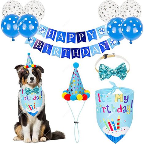 Tenue pour fête d'anniversaire de chien Tenue pour fête d'anniversaire de chien
