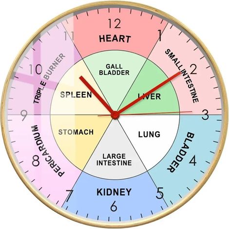 30cm Wandpendeluhr Leise Chinesisches Organ TCM Uhr Körperliche Traditionelle Chinesische Medizin Modernes Design Wanduhr Energiezyklen für Gesundheit und Heilung Kunstwerk (1/5)