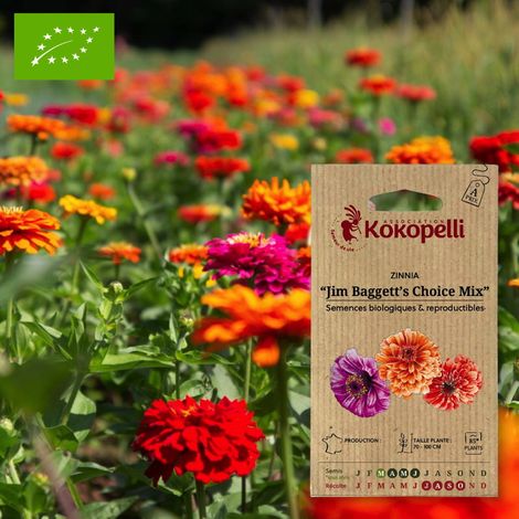 Zinnia Jim Baggett's Choice Mix