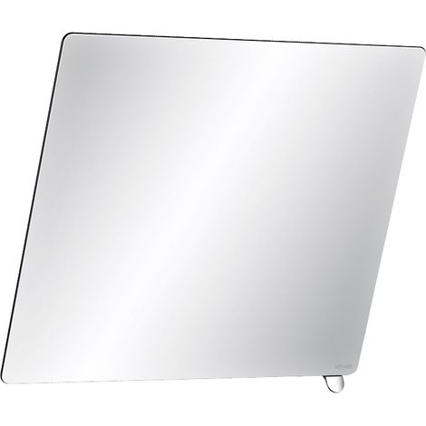 Miroir à pince Delabie 600x500 mm, poignée blanche