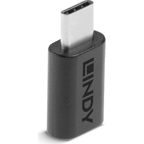 Lindy 41893 adattatore per inversione del genere dei cavi USB 3.2 Type C Nero