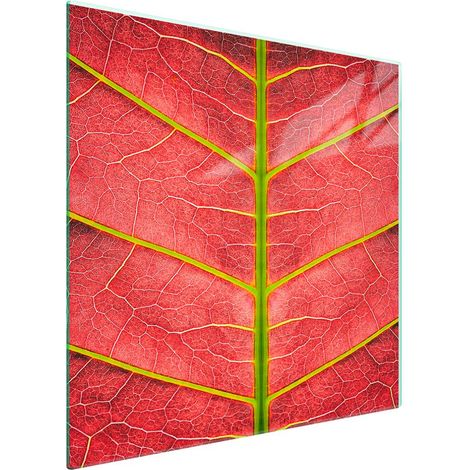 Piastra protettiva in vetro per piano cottura 50x52 Foglia (1/5)