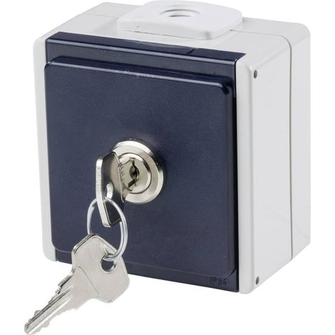AS Schwabe 62461 Presa da parete bloccabile IP54 Grigio