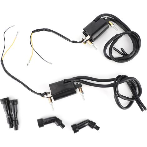 2 bobines d'allumage + 4 capuchons 33410-45012 compatibles Suzuki GS550 GS750 GS850 GS1000