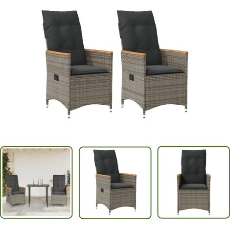 The Living Store Chaises inclinables de jardin lot de 2 et coussins gris rotin - Chaise De Jardin - Fauteuil De Jardin - Chaise Inclinable - Mobilier De Jardin - Résine Tressée (1/5)