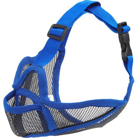 Muselière Bleue pour Chien à Museau Court - Confortable et Respirante (1/4)