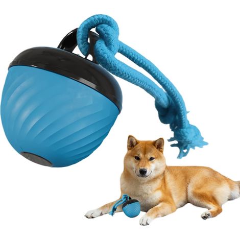 Interactive pour Chien Balle de Jeu Roulante pour Intrieur (1/5)