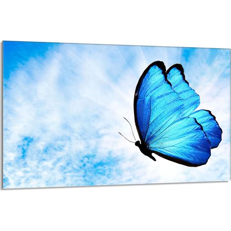 Glasschutzplatte für den Herd 80x52 Butterfly (1/5)