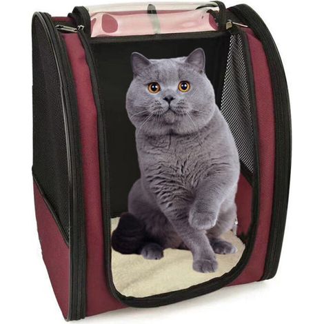 Expandable Cat Puppy Carrier Bag Dog Backpack Small Breathable Mesh, Spacious, Foldable, for Train/Car/Restaurant/Plane Travel (1/4)