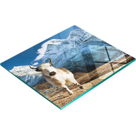 Tabla de servir de cocina de vidrio templado con gráfico de yak de montaña, 60x52 cm (1/5)