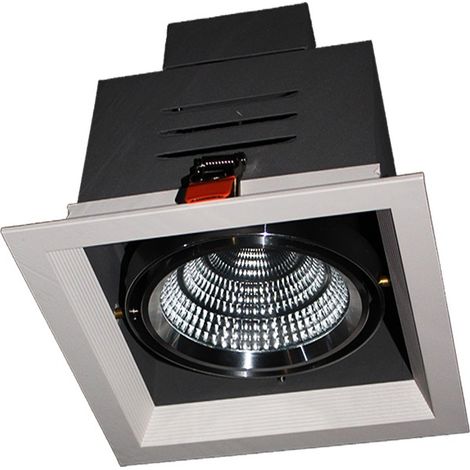 1 proyector ajustable de 25W en blanco neutro