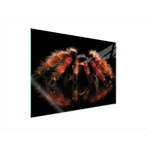 PIASTRA PROTETTIVA IN VETRO PER STUFA 70x52 SPIDER (1/5)
