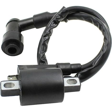 Yamaha Ignition Coil 3KJ-82310-10-00 3FA-82310-00-00 DT50 RX50 (1/5)