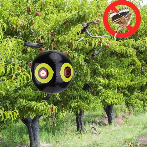 Ballon Anti-Oiseaux, Ballon Gonflable pour Les Yeux de Prédateur avec Yeux 3D et Couleurs Vives, pour Repousser Les Oiseaux dans Les Terres Agricoles des Vergers et des Bois (Black)