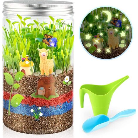 Kit de culture de plantes en terrarium Grow and Glow pour enfants : projets éducatifs à faire soi-même pour garçons et filles (1/5)