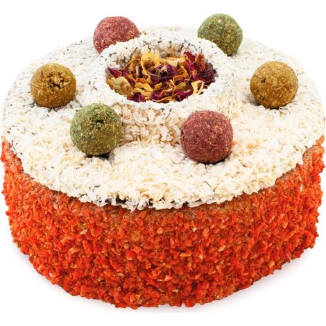 JR FARM DELICIOUS CAKE - getreidefreier Keks für alle Papageien 200g (1/5)