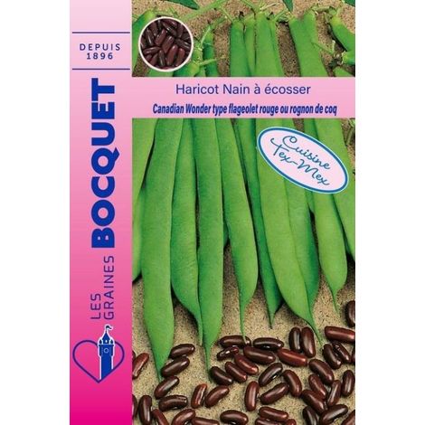 Haricot nain à écosser Canadian Wonder (pour Tex-Mex) - 115g