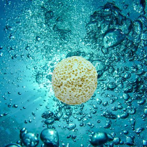 BelleRise - 100pcs boules biofiltre – Ø 21 mm – nitrification rapide – eau douce/saumure (1/5)