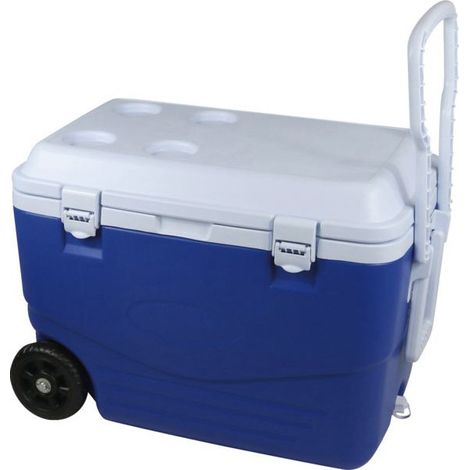 Glacière Rigide 46 Litres 60,5 X 35 ,5 X 41,5 Cm - Cao Camping