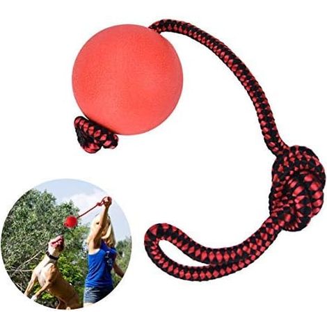 Ensemble de 3 jouets pour animaux de compagnie avec balle en caoutchouc et corde (1/5)