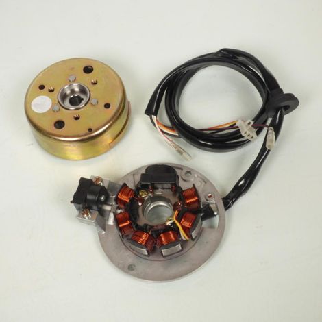 Zündstator Rotor Teknix für Scooter Yamaha 50 Bw's Next (1/5)