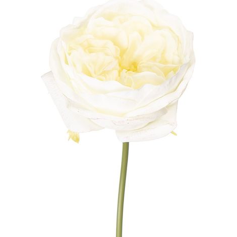 Rose Artificielle Blanche en Plastique pour Décoration et Composition Florale 35 cm et 70 cm - PANGIVO (1/2)
