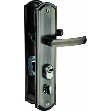 Set chiusura WC 00092553 sinistro con placca BR – THIRARD (1/3)