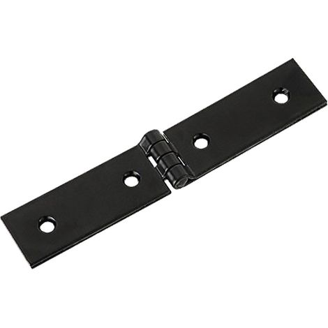 Cerniera Ase 12 Pezzi 220 mm