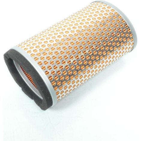 Luftfilter Champion für Motorrad Triumph 865 Bonneville T100 2008 (1/5)