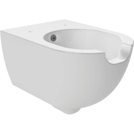 Wc con Bidet integrato App Flaminia Sospeso Disabili 54x36x H48