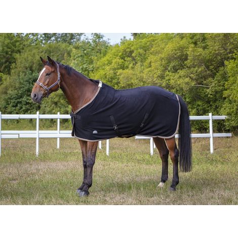 Licol polyfun bleu marine EQUITHEME pour cheval (1/2)