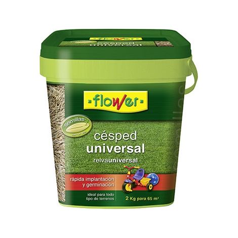 Blume Cuved Cubersamen, WÐ©rfel 2 kg